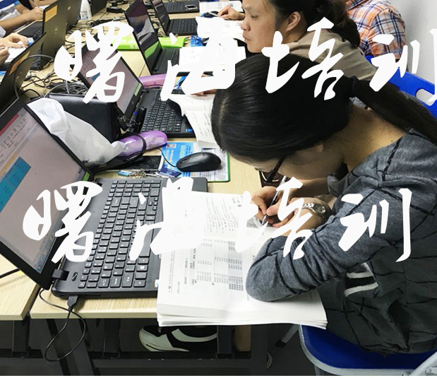 SAS統(tǒng)計與數(shù)據(jù)挖掘高級課程培訓(xùn)